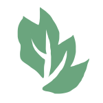 Feuille 3 - 2026